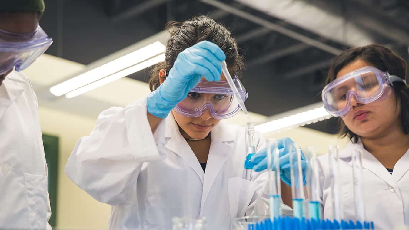 Students in a science lab: Pursue a Bachelor of Science in Biophysical Sciences degree at Regent University.
