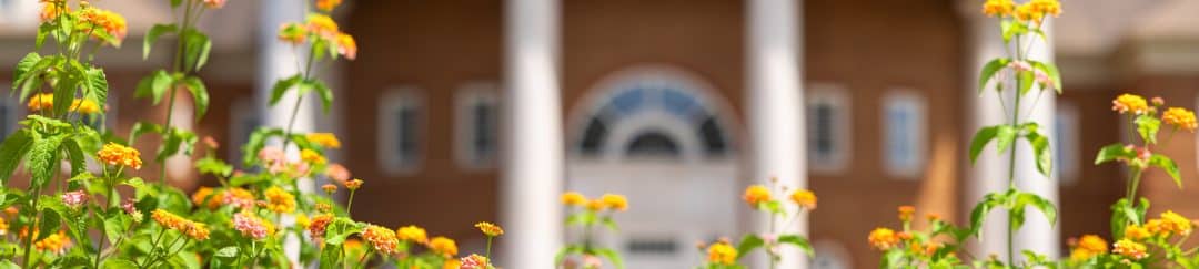 Collge Vector On Campus Recruitment: Vector Marketing | Regent University