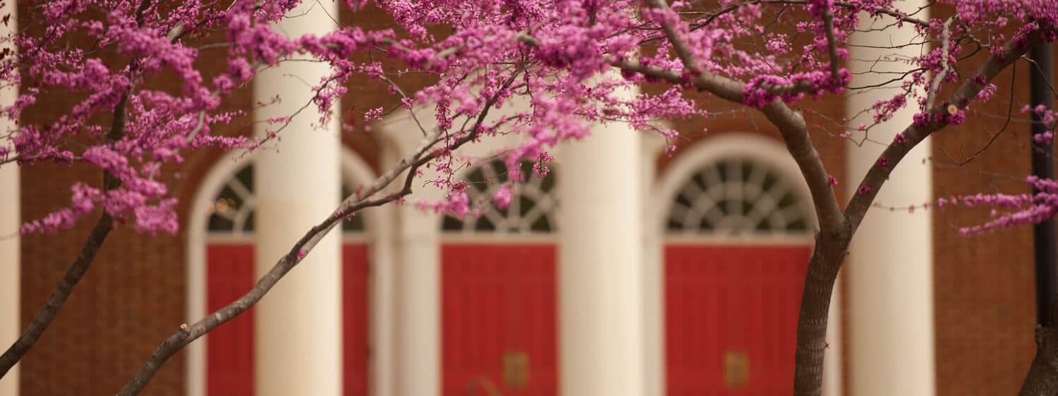 Flowers in bloom on Regent University's beautiful campus in Virginia Beach.