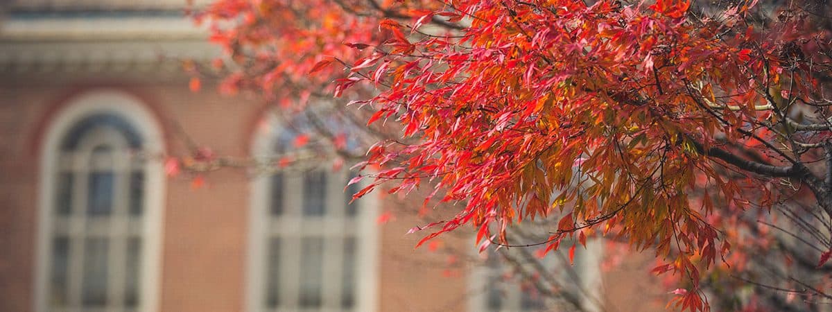 Regent University Fall