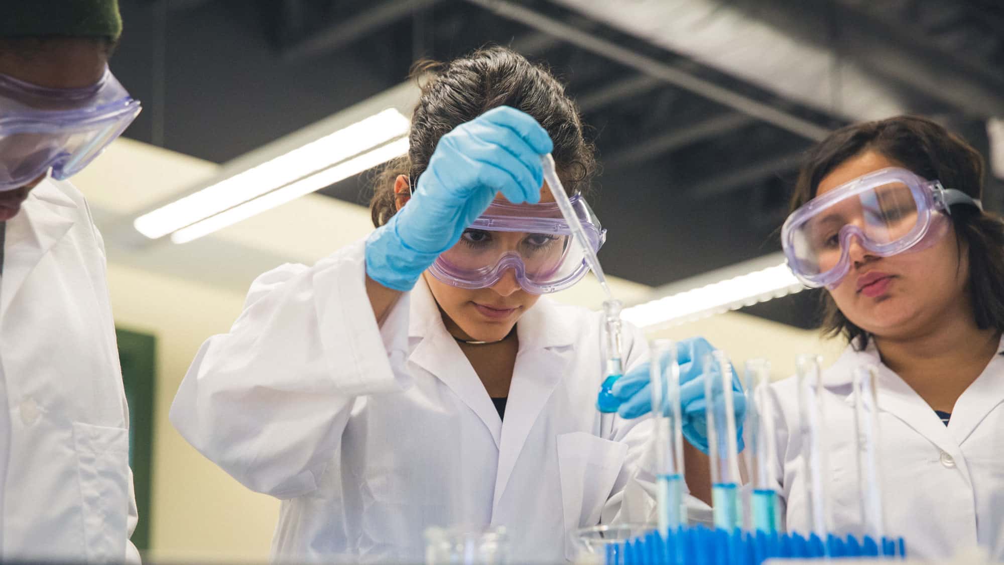 Students conduct a test tube experiment: Learn more about the B.S. in Biophysical Sciences.