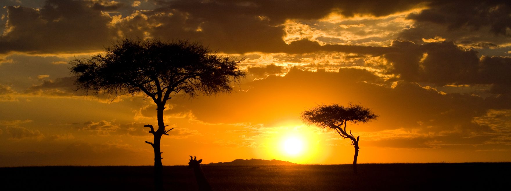 Uganda Study Abroad Cover